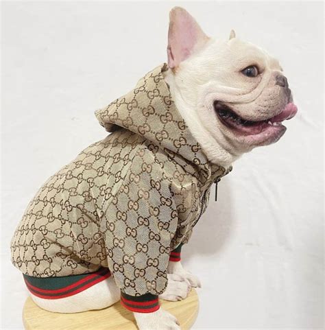 gucci rain jacket for dogs|authentic Gucci dog collar.